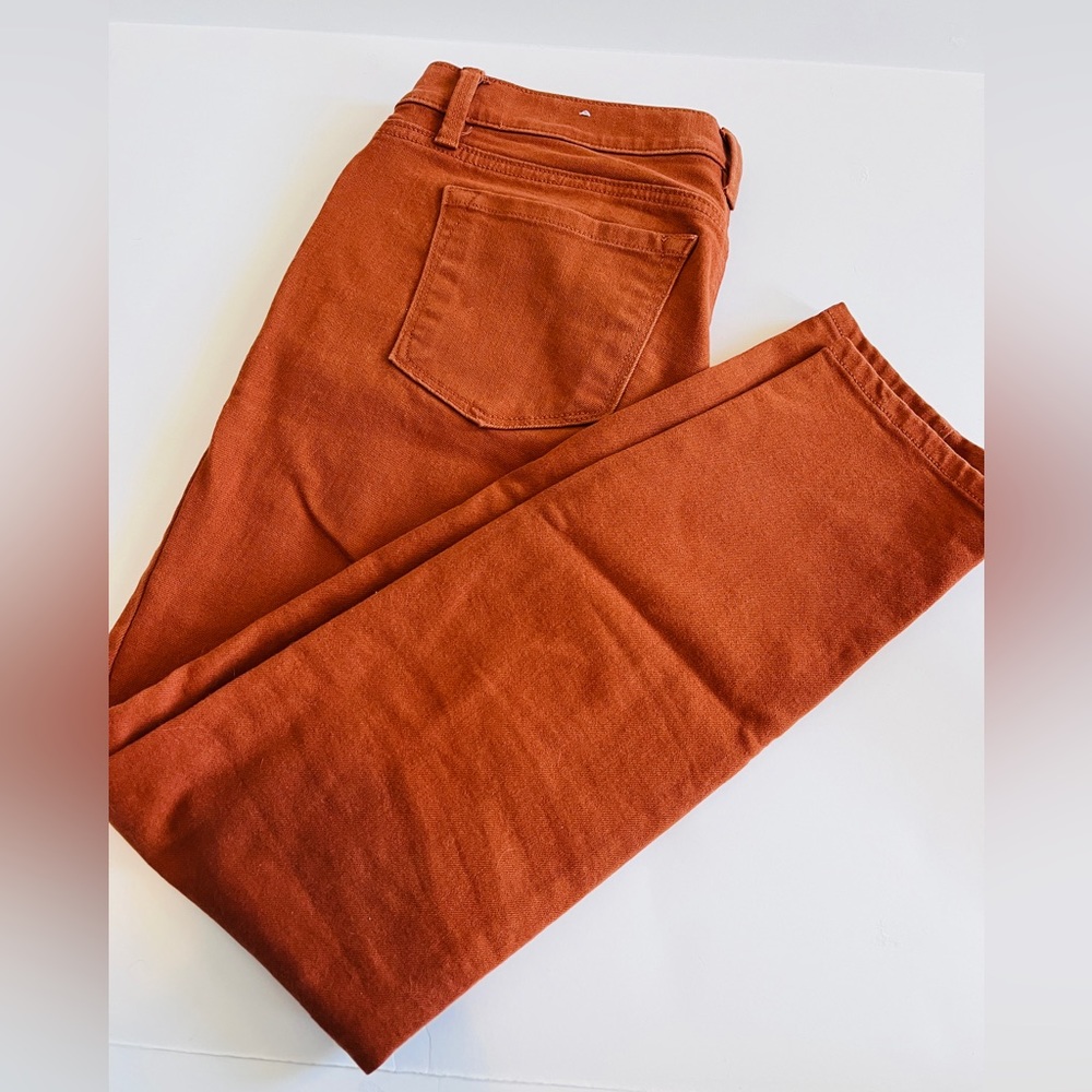 Ann Taylor Loft Rust Orange Jeans size 6P petite skinny great condition